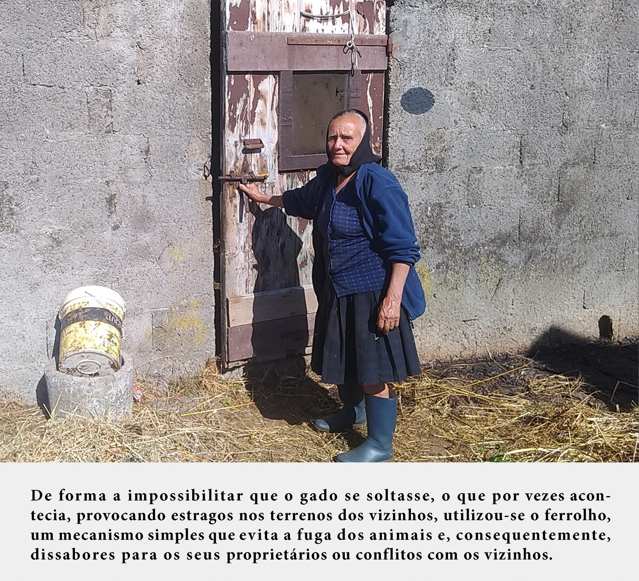 4ferrolho n