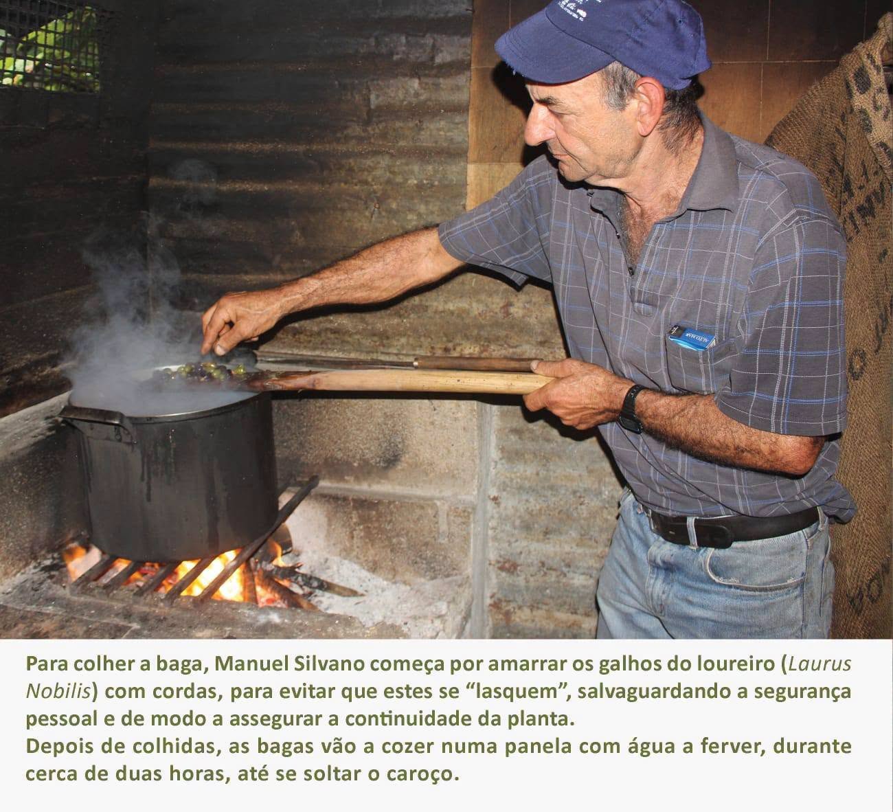 6azeitelouro