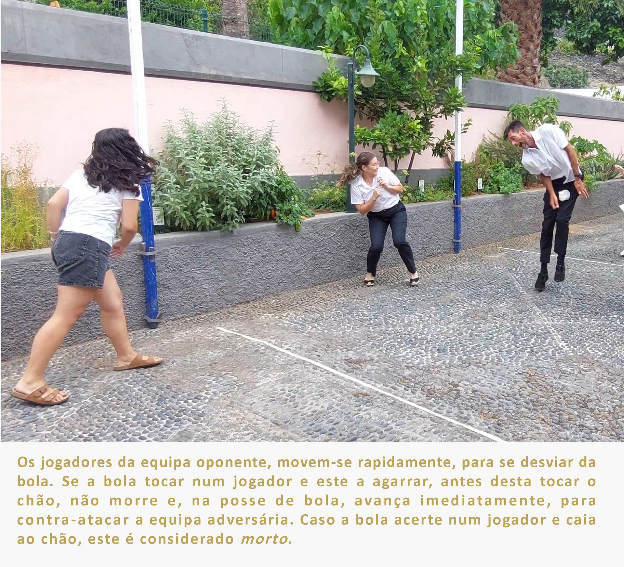 7jogodamatanca n