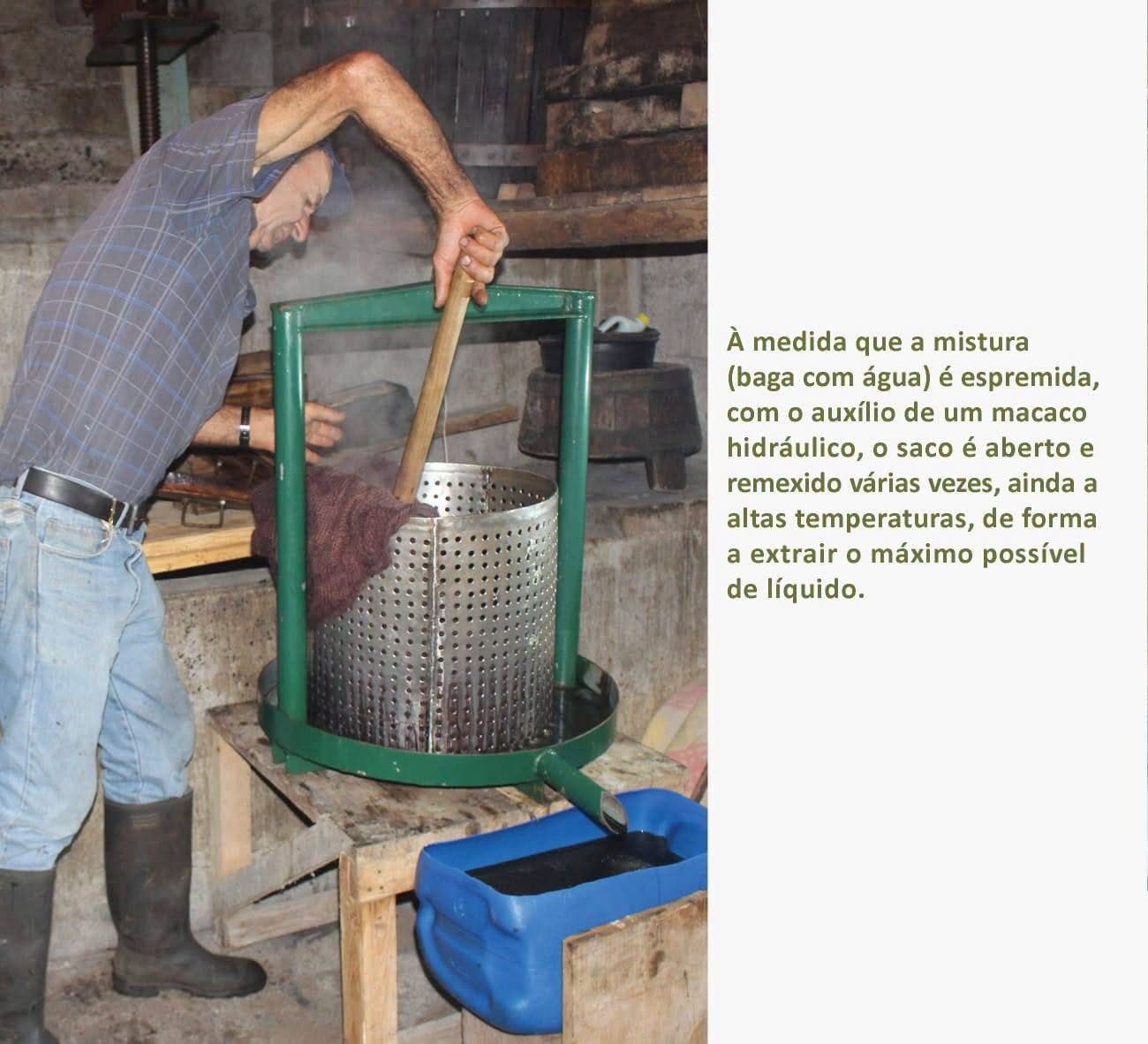 8azeirelouro