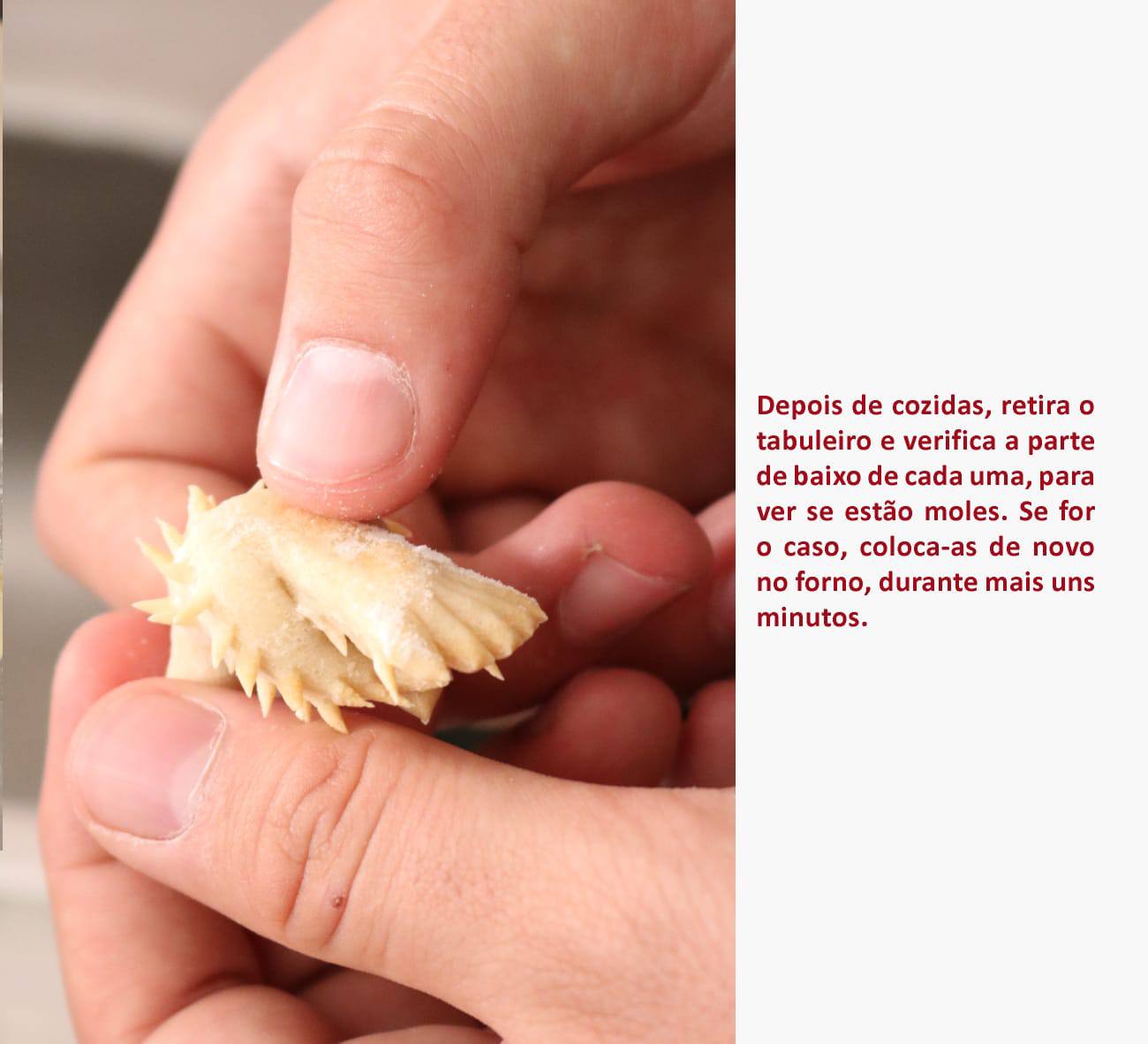 9espiritosanto n