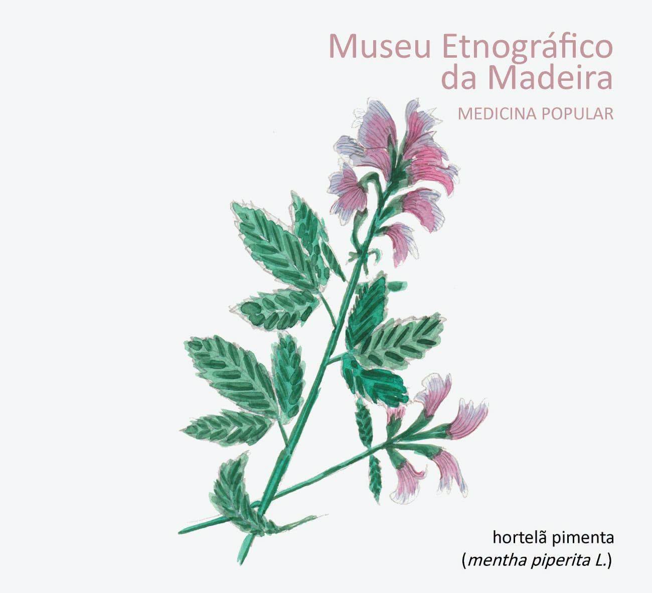 hortelapimenta medicinapopular agosto2026