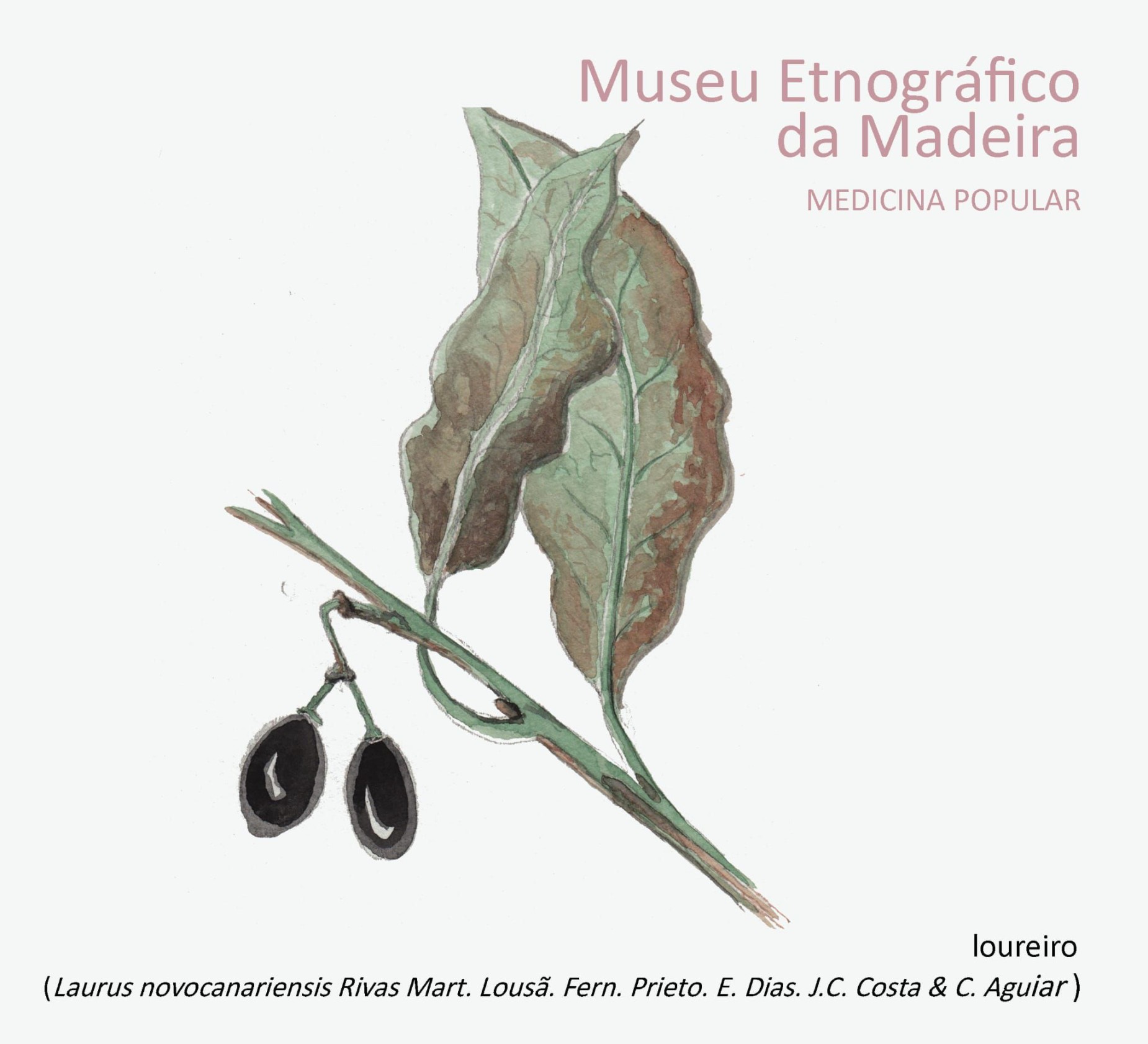 medicinapopular oloureiro JAN 2026