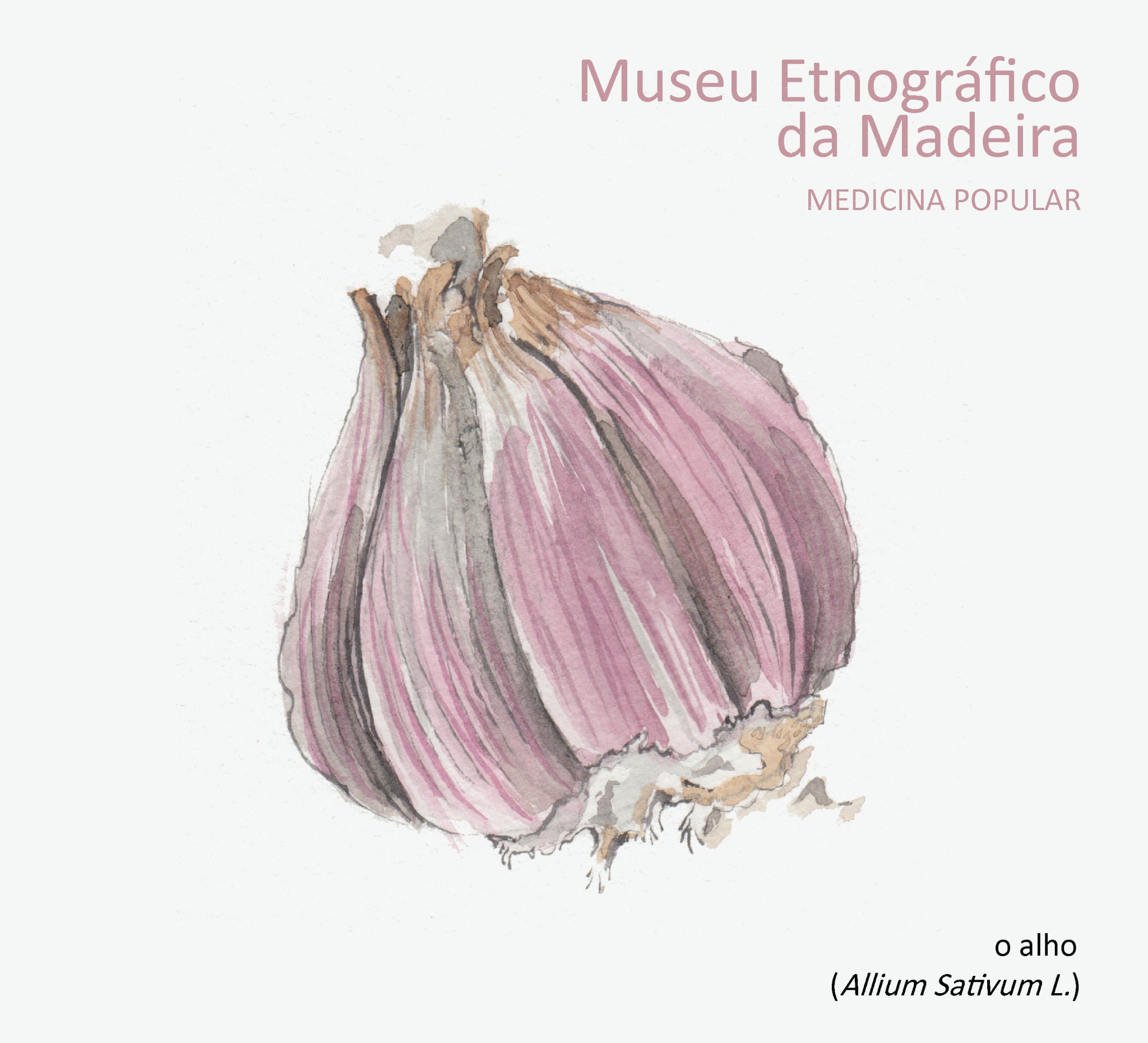 medicinapopularalho n