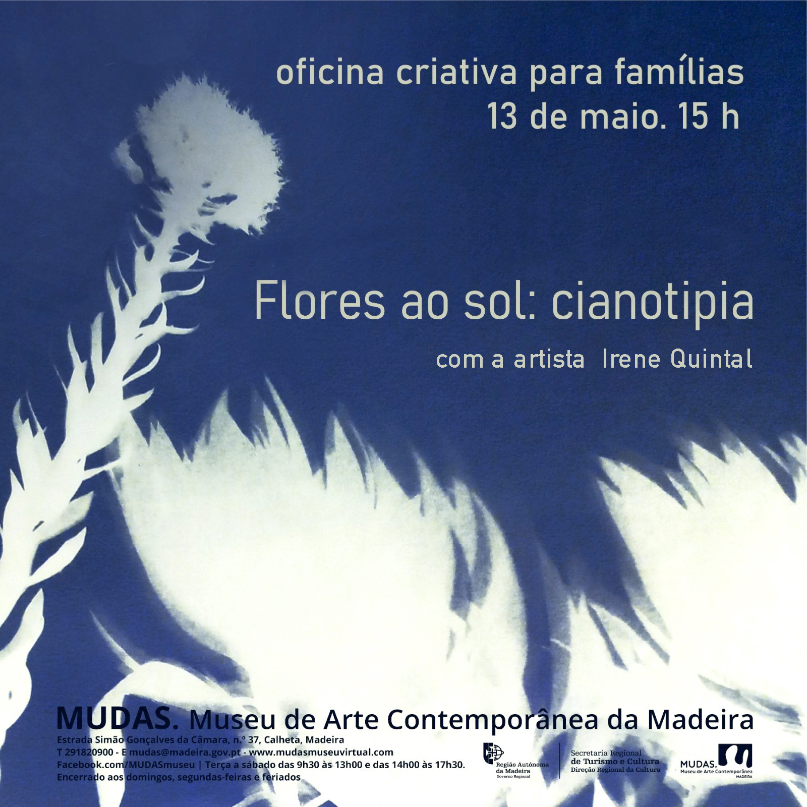 oficinafloresaosol n