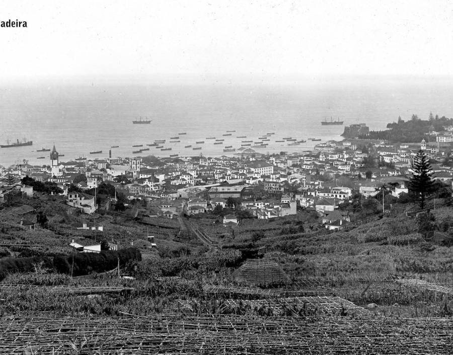 Panorâmica norte/sul da cidade e da baía do Funchal