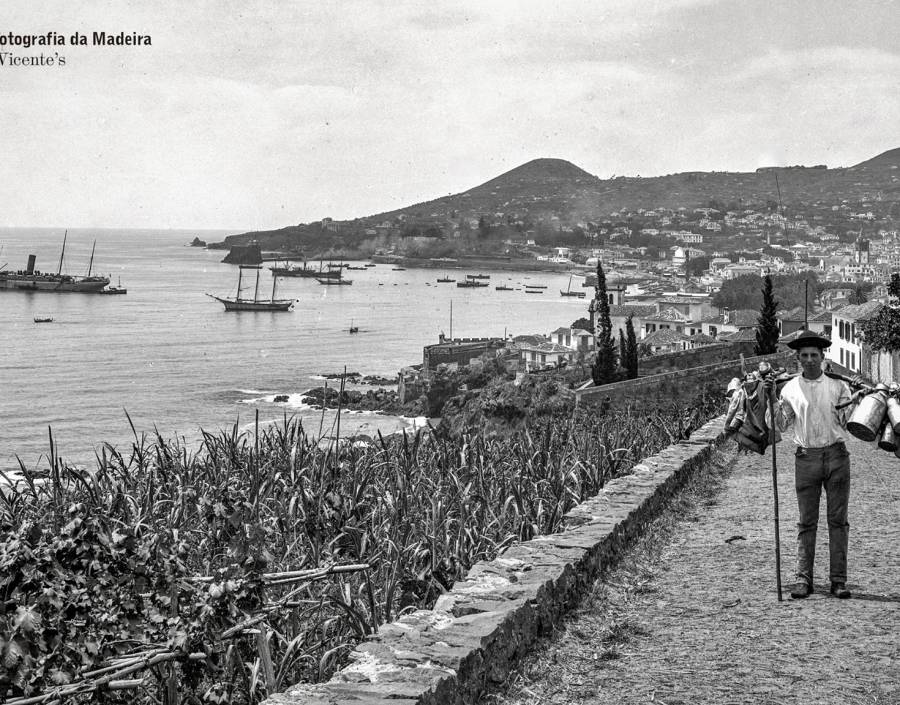 Panorâmica da baía e cidade do Funchal 