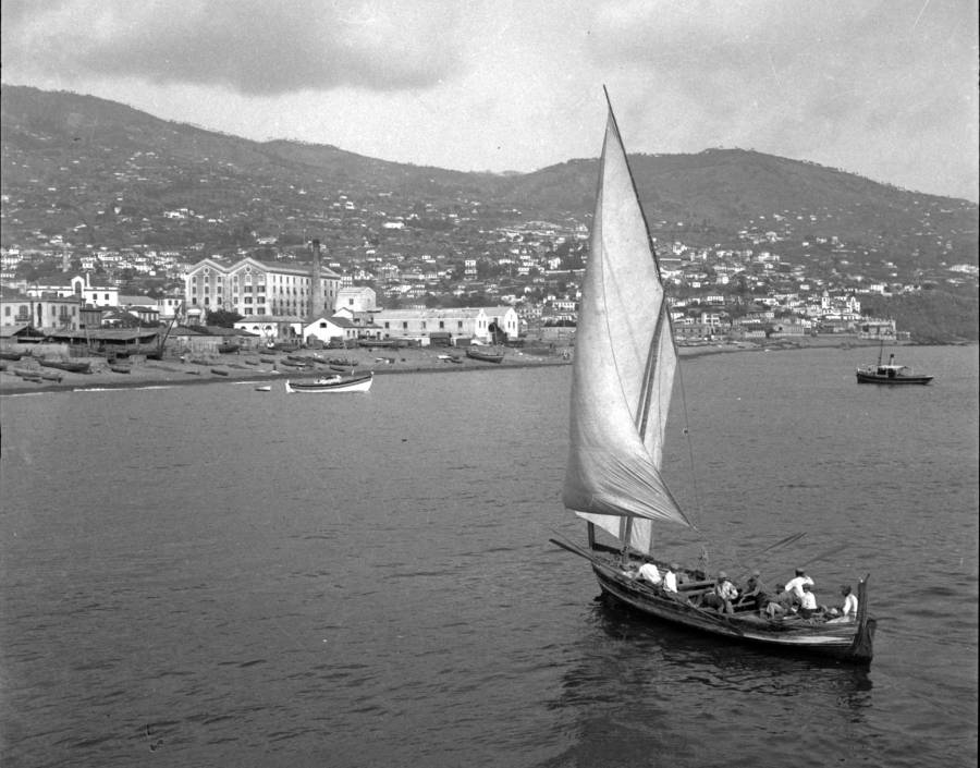 Retrato de barco carreireiro na baía do Funchal