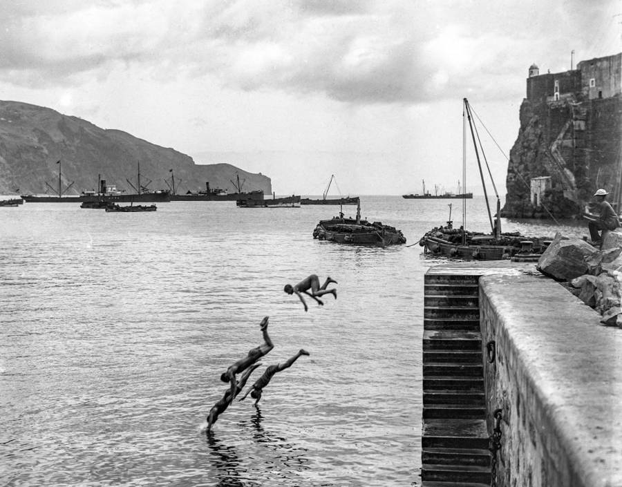 Grupo de rapazes a mergulhar no porto do Funchal 