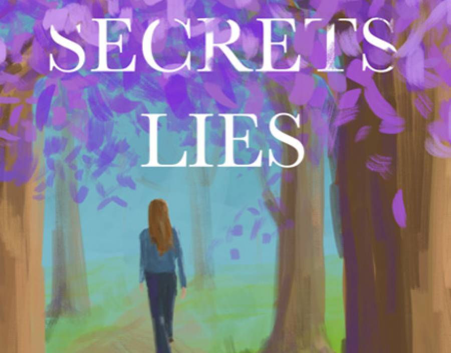 Love Secrets Lies de Teresa Vale