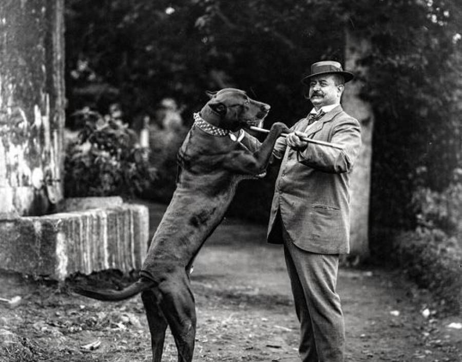 Retrato de homem e de cão junto a um fontanário | Anterior a 1905