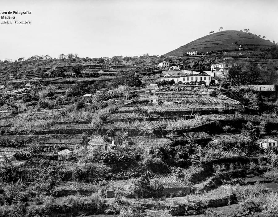 Vista do sítio das Virtudes, São Martinho, anterior a 1895. 