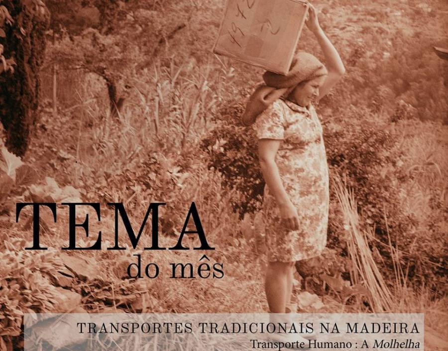 Transportes Tradicionais da Madeira - Transporte Humano: A Molhelha