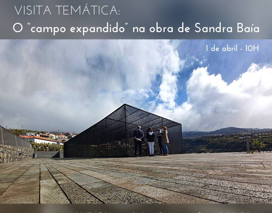 Visita temática: O “campo expandido” na obra de Sandra Baía