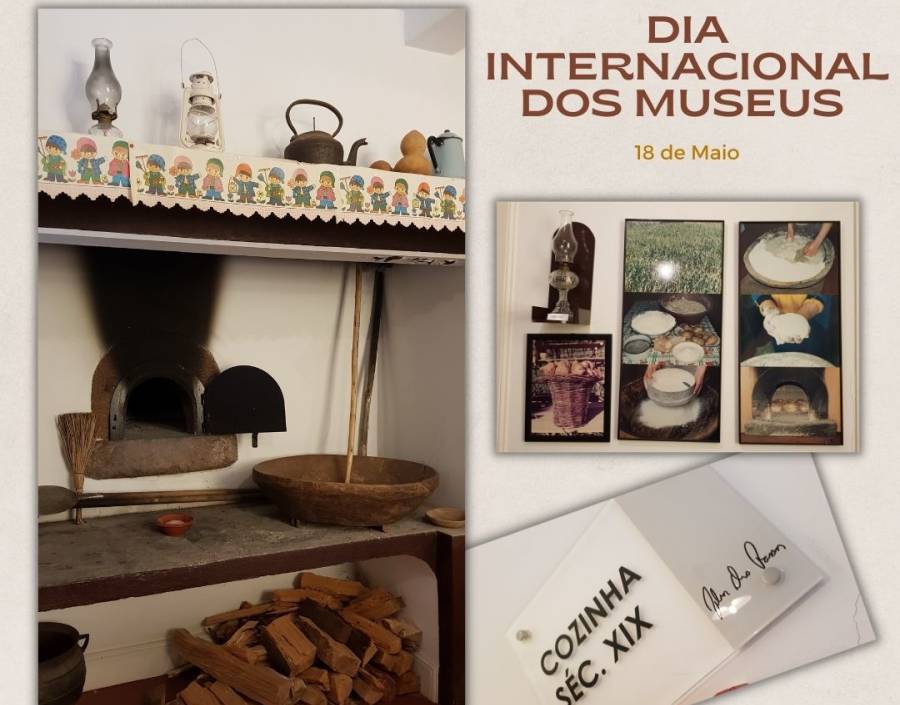 FOCUS: International Museum Day