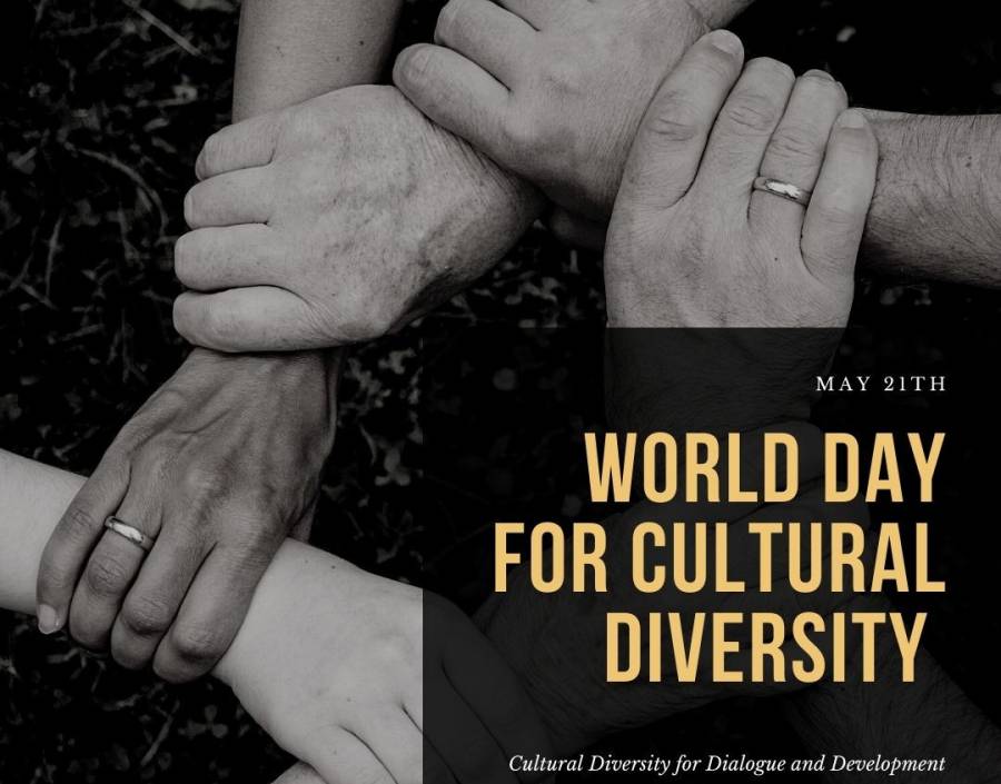 FOCUS: World day for cultural diversity 