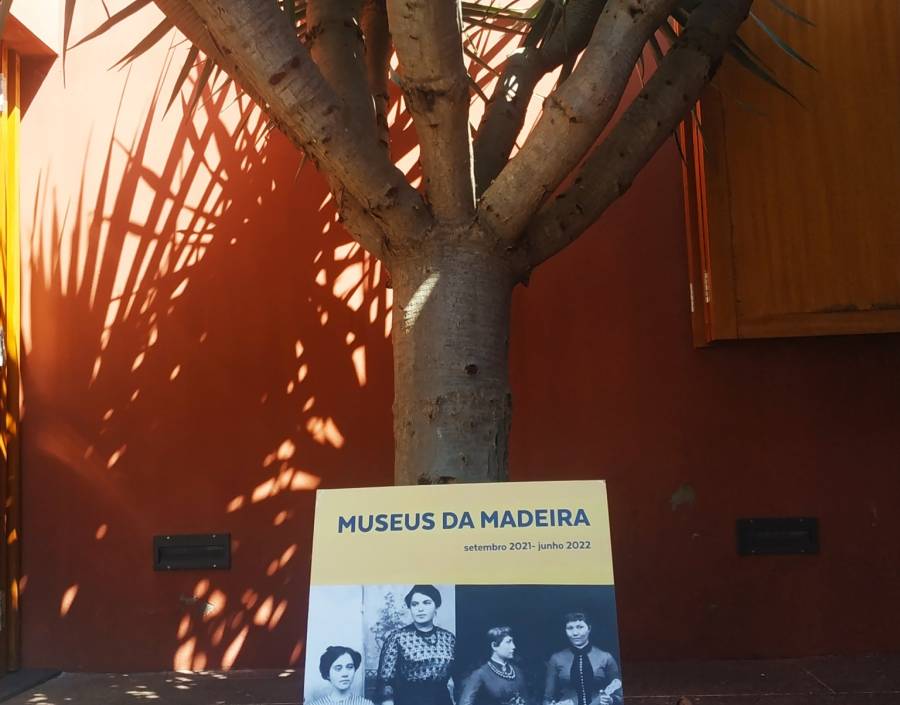 Projeto “Da Madeira ao Hawaii - uma viagem musical”