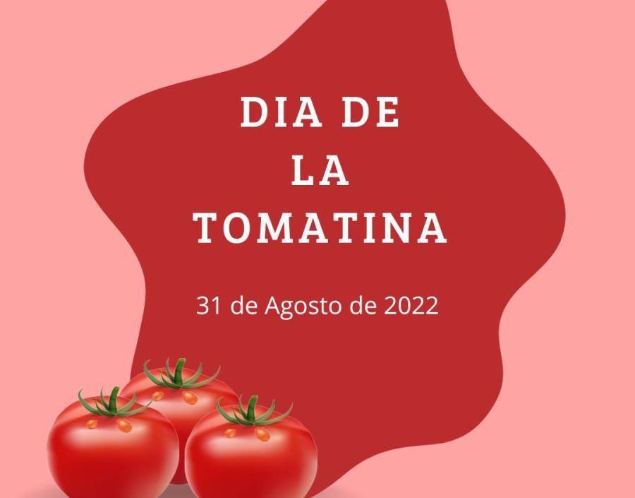 EM FOCO: Dia de La Tomatina