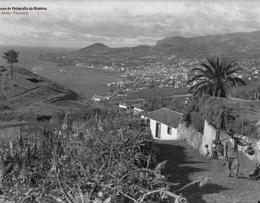 Baía e cidade do Funchal | 1935