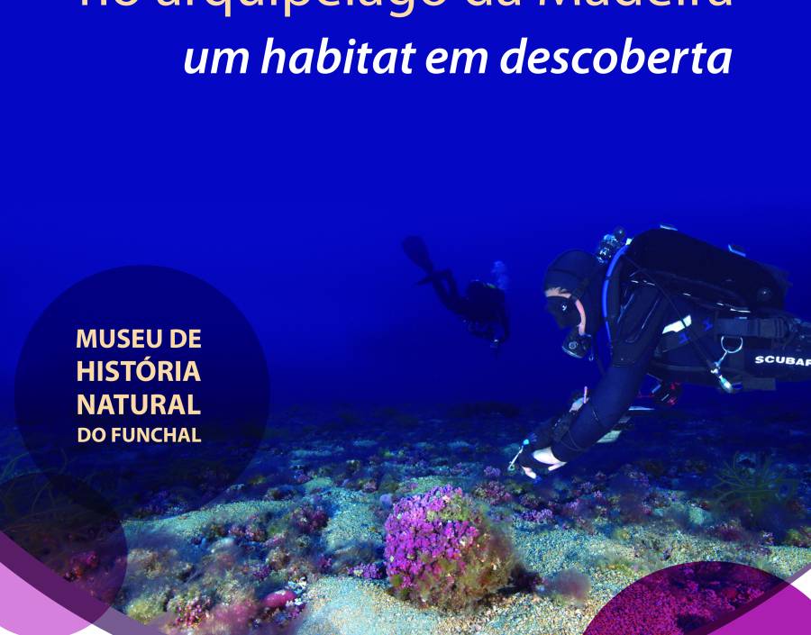 Exhibition “Rhodolith fields in the Madeira archipelago – a discovery habitat”   
