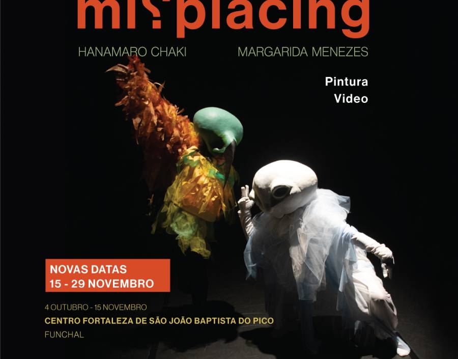 Multidisciplinary Project “Misplacing”