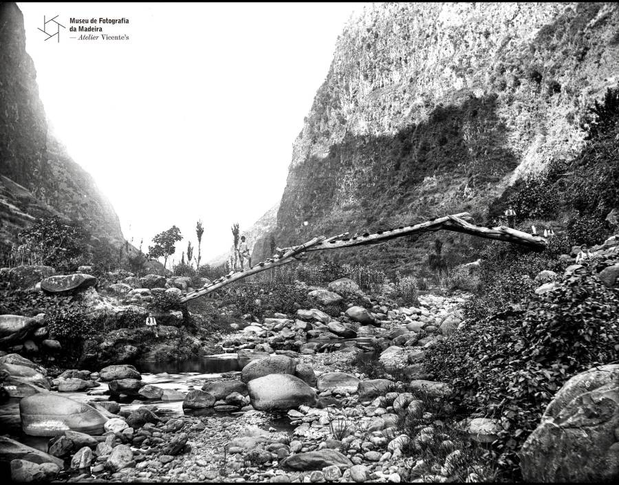 Ponte artesanal de madeira