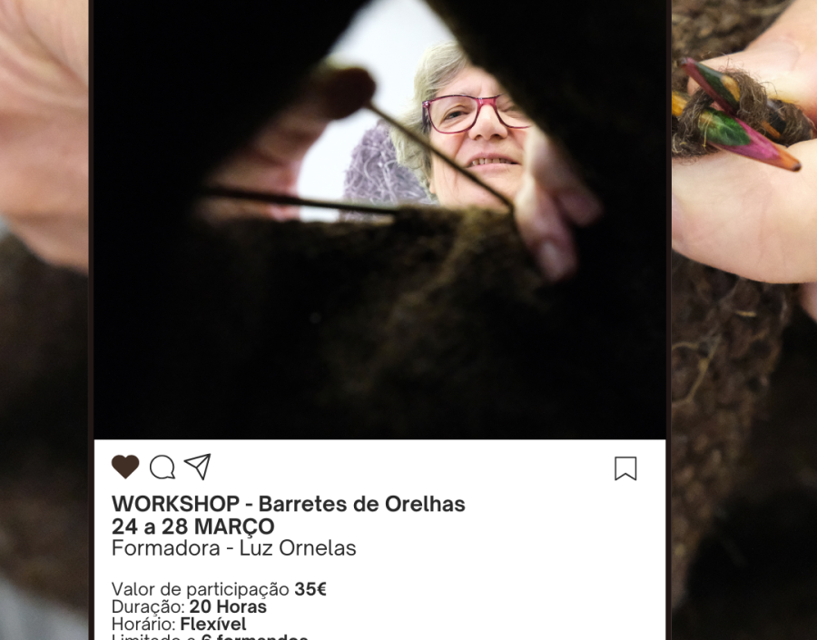 Workshop - Barretes de Orelhas