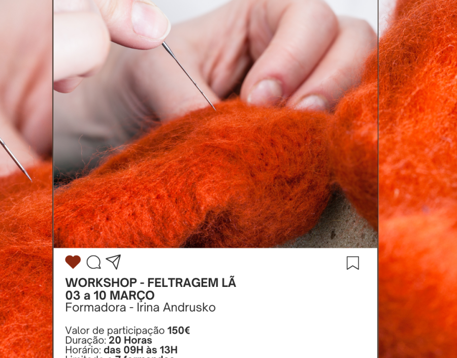 Workshop - Feltragem Lã