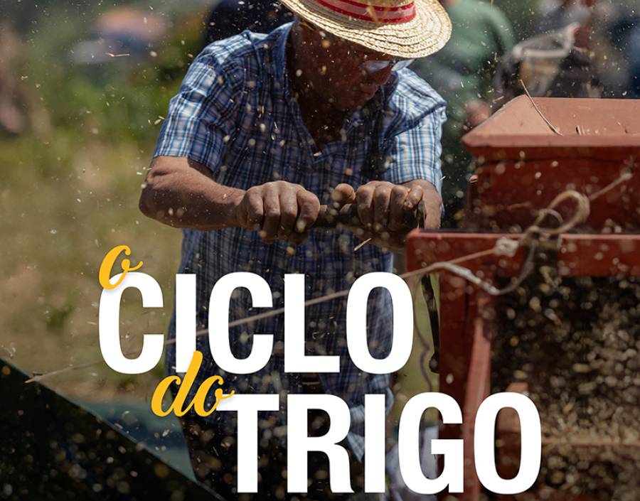 Vídeo documental 