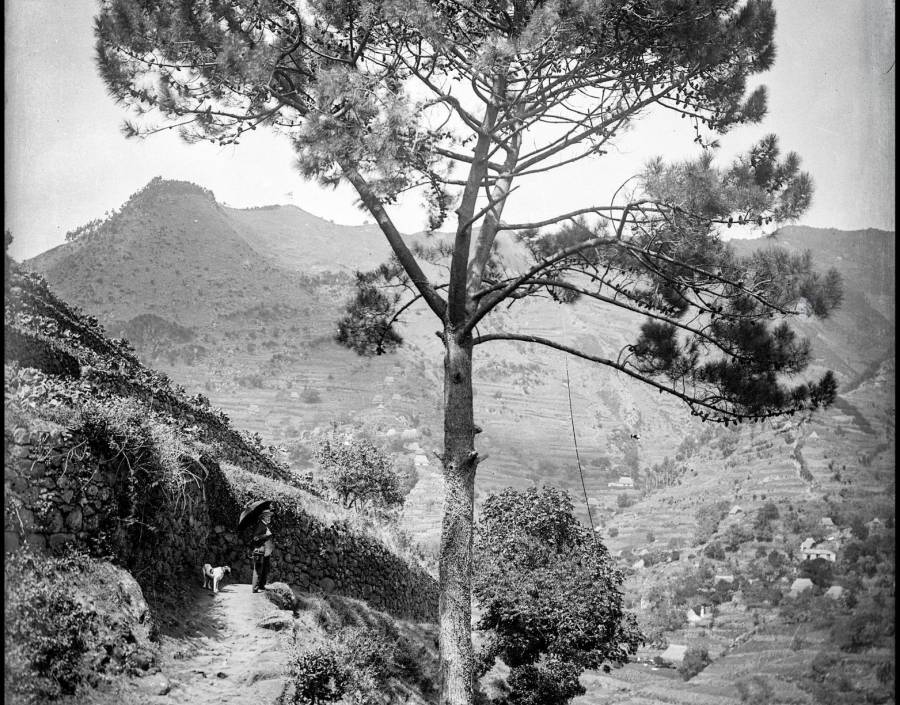 Paisagem rural não identificada | Ant. 1905