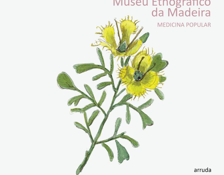 Rubrica Mensal - Medicina Popular | Arruda