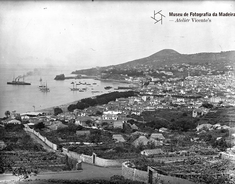 Vista da cidade e baía do Funchal