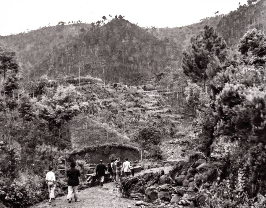  Aluvião no Concelho de Machico