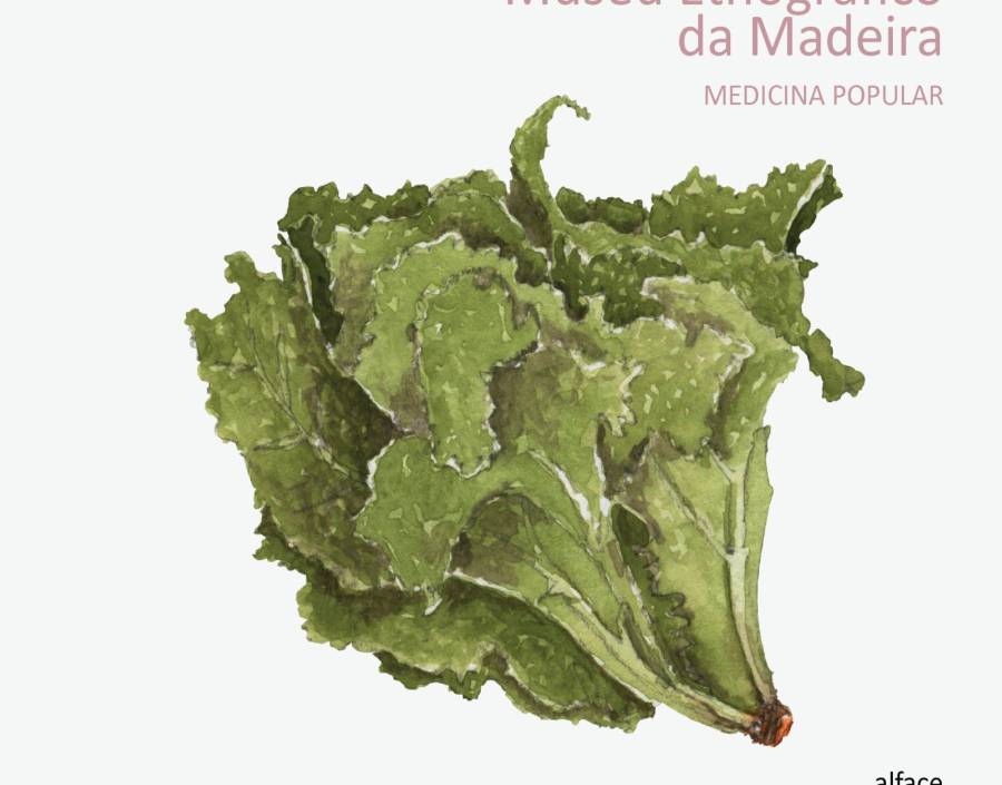 Medicina Popular | Alface