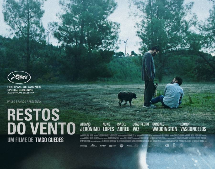 Cinema: Remains of the wind