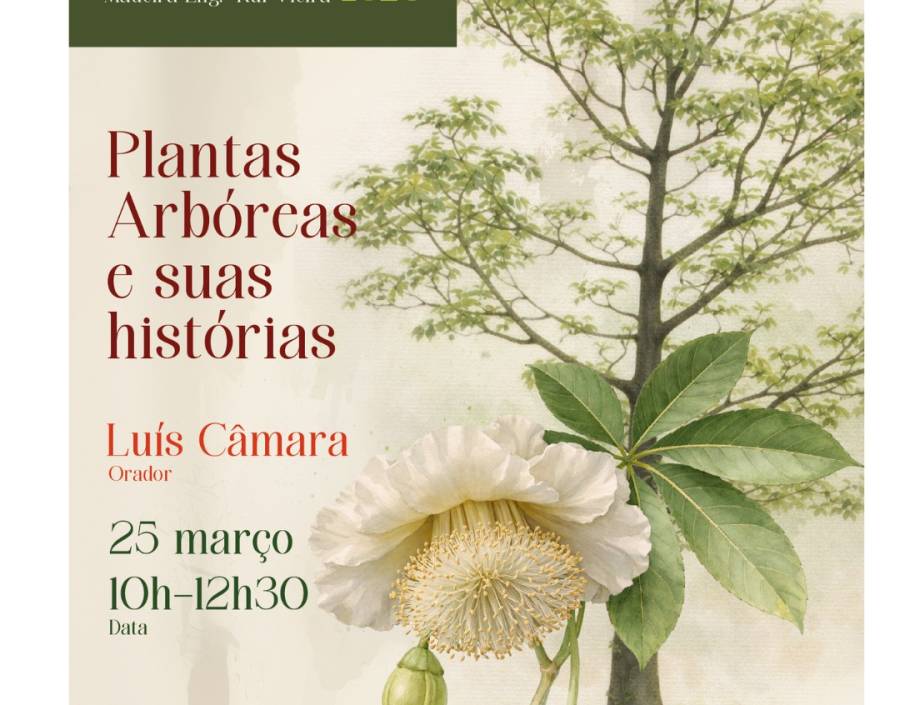 12 Visitas, 12 Meses - Plantas Arbóreas e suas Histórias