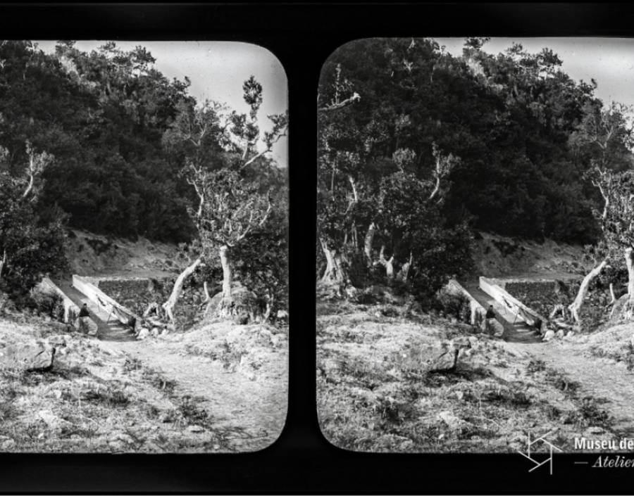  Vista parcial do sítio do Ribeiro Frio | Antes de 1889