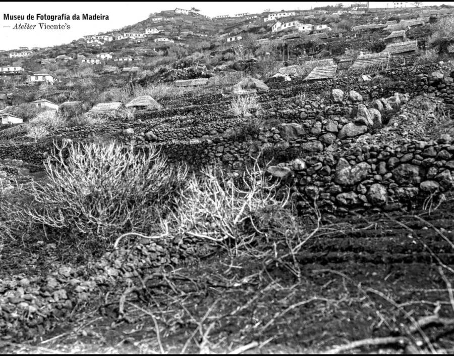 Paisagem da Freguesia da Fajã da Ovelha | Anterior a 1934
