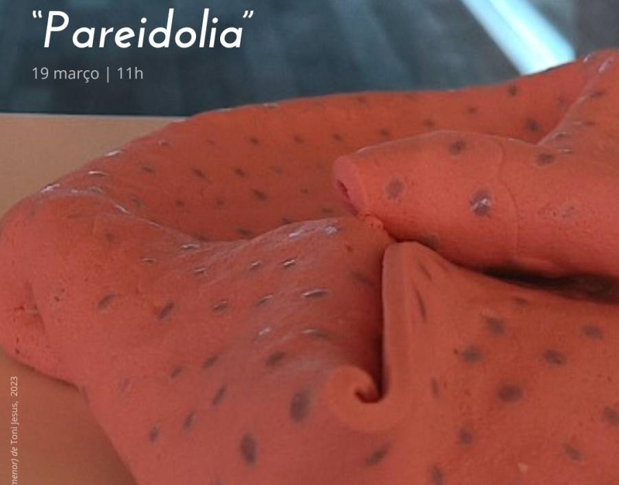 Visita temática “Pareidolia”