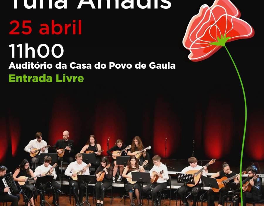 Concerto de Bandolins - Tuna Amadis