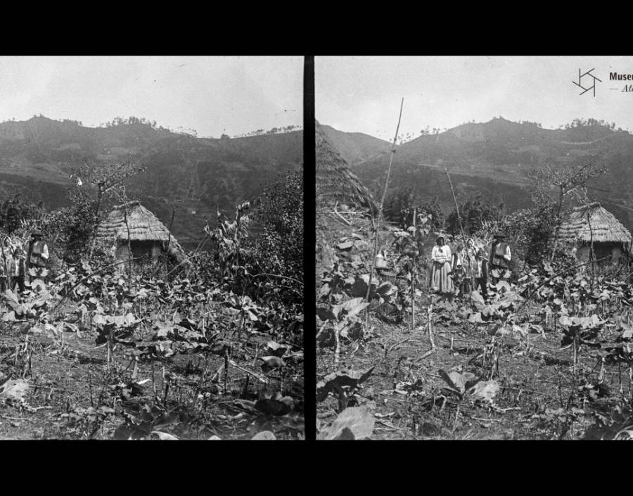  Estereograma | Primeira metade do séc. XX