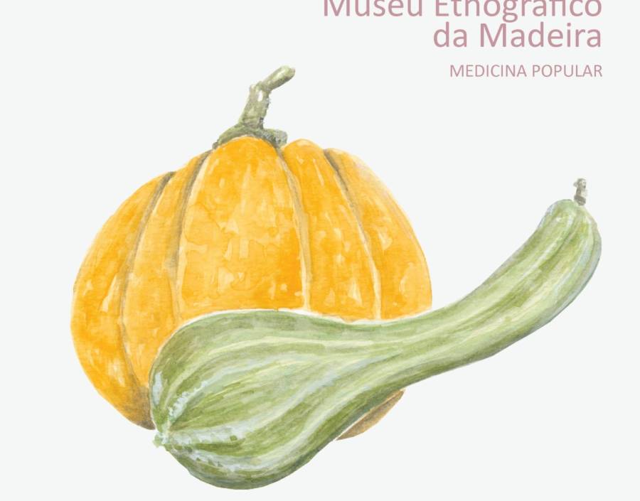 Medicina Popular | A abóbora 