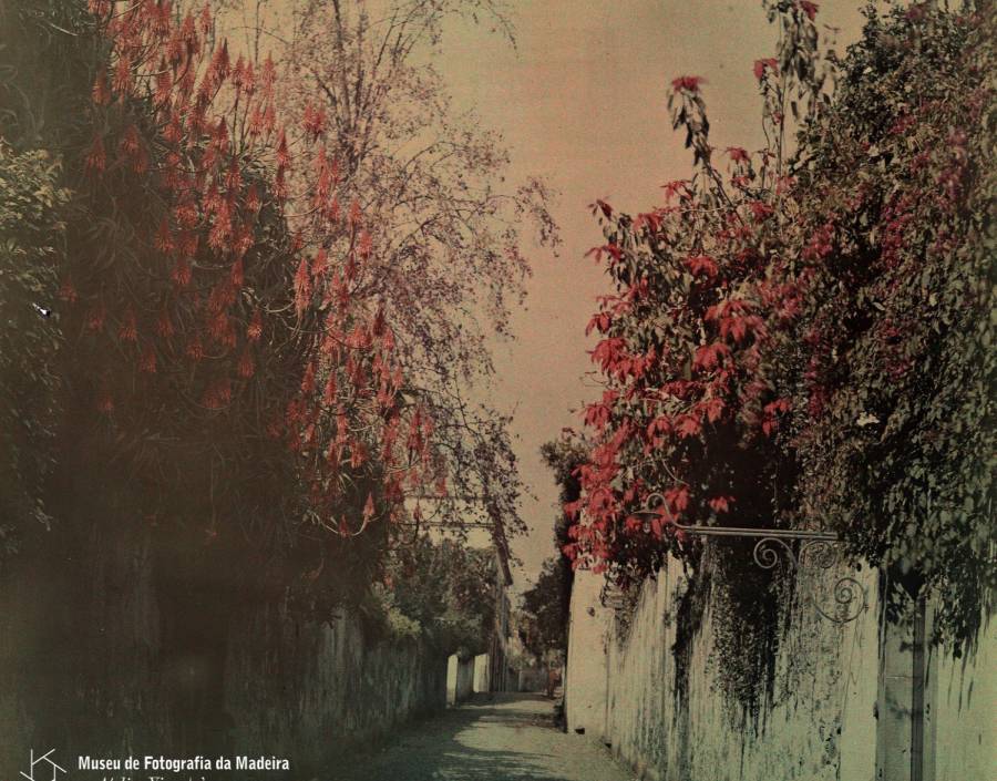 “Autochrome Lumière” de Russel Manners Gordon  | Posterior a 1907