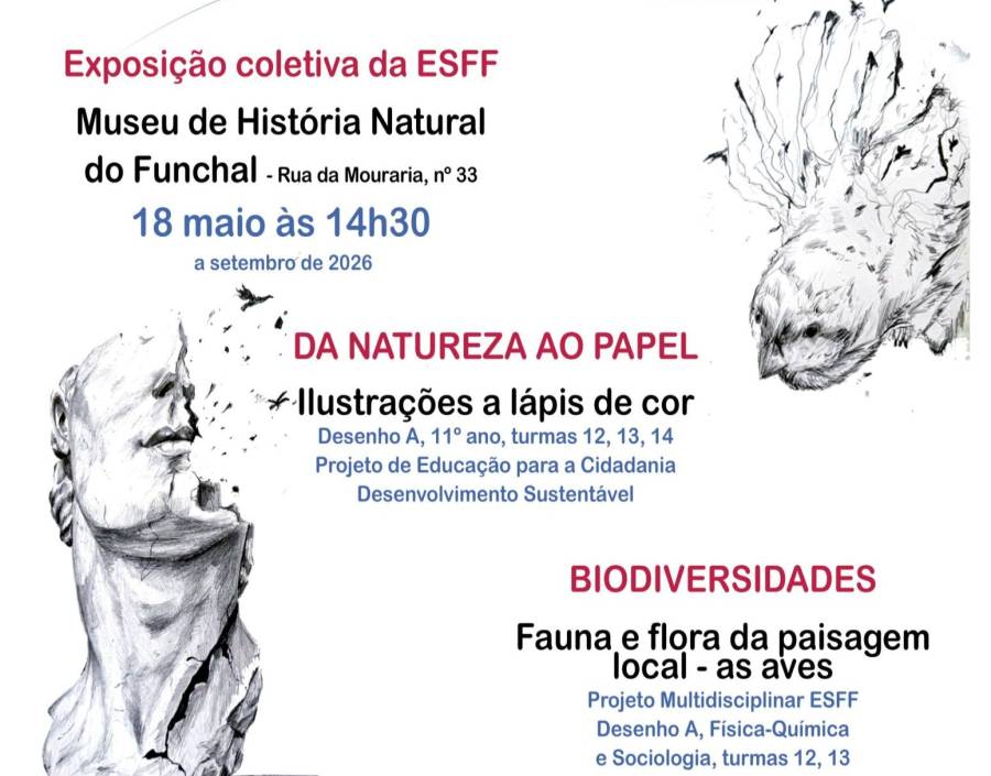 Exposição Coletiva “Voo pelo Desenho”