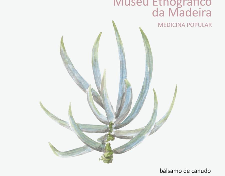 Medicina Popular | Bálsamo‑de‑Canudo 
