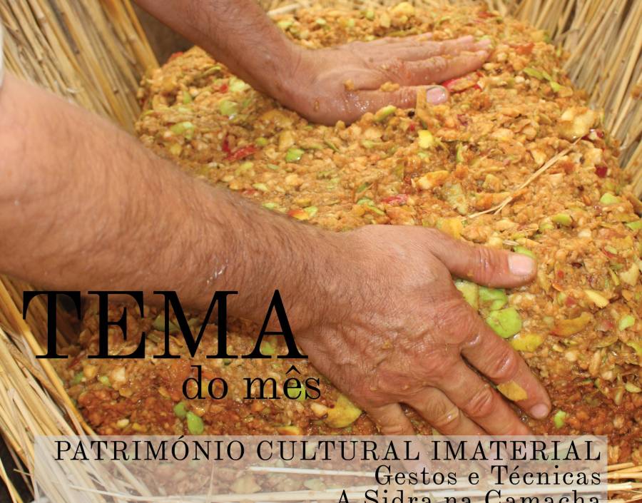 Immaterial Cultural Heritage: Gestures and Techniques – The Cider in Camacha