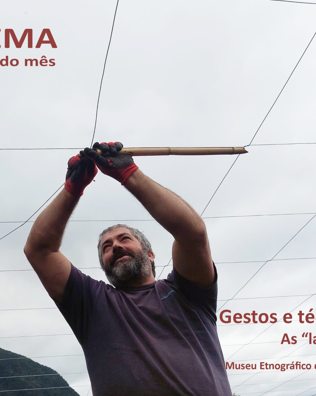 Gestos e Técnicas: As 