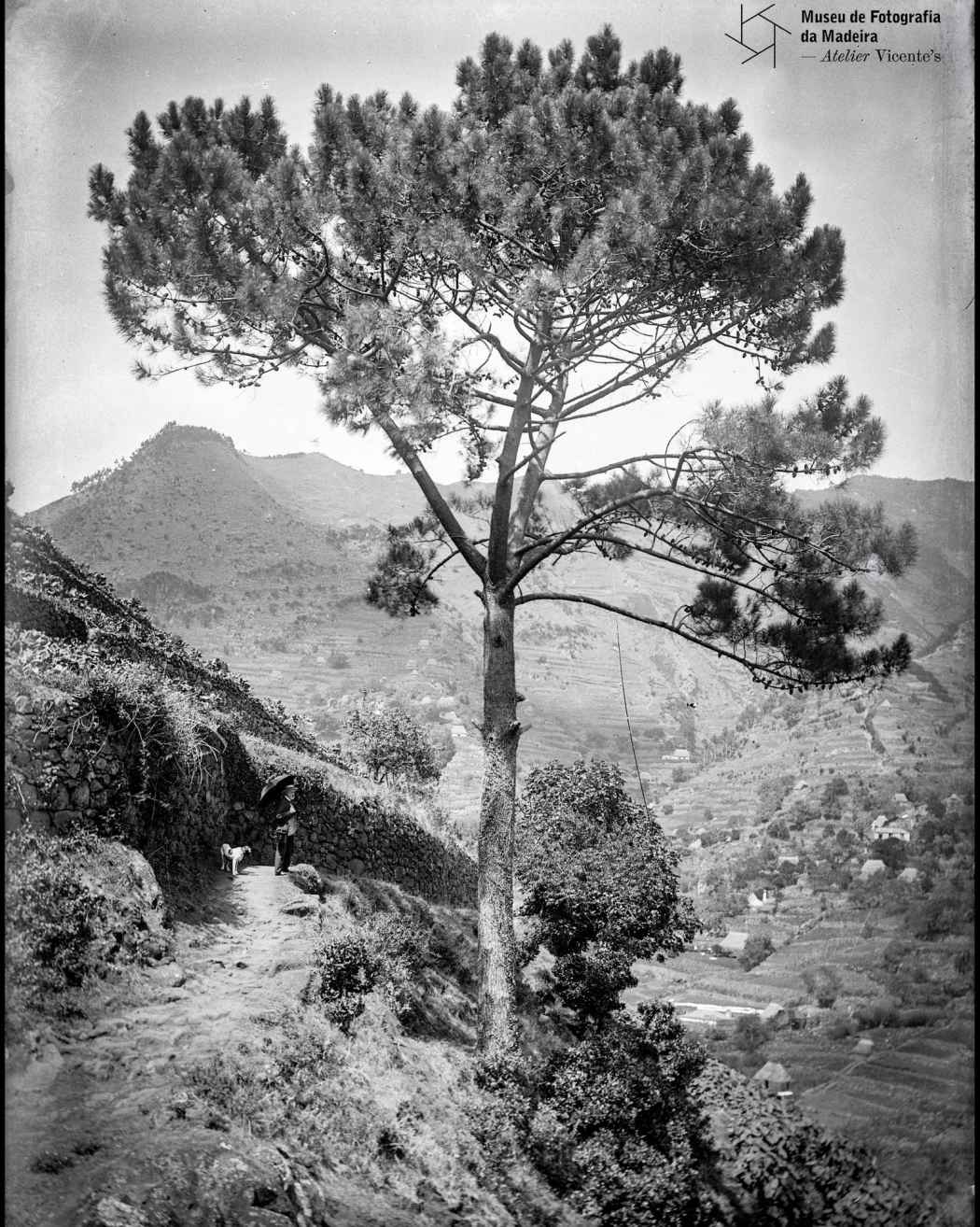Paisagem rural não identificada | Ant. 1905