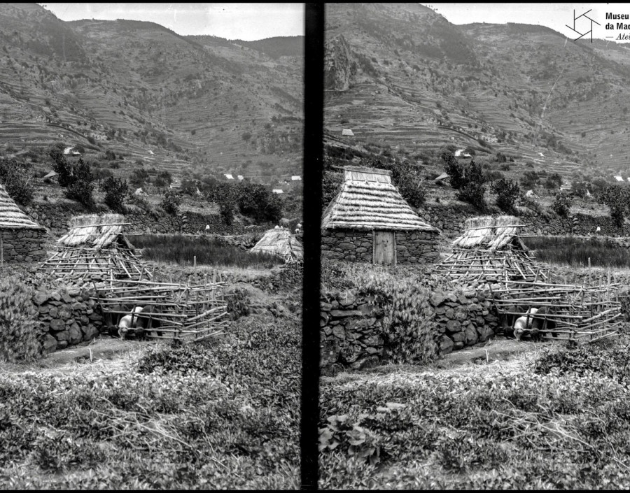 Conjunto habitacional no sítio do Piquinho, Machico | Anterior a 1905