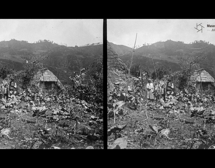  Estereograma | Primeira metade do séc. XX